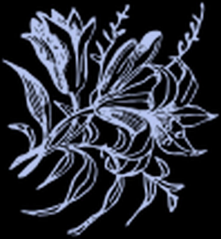 A vintage illustration of a flower