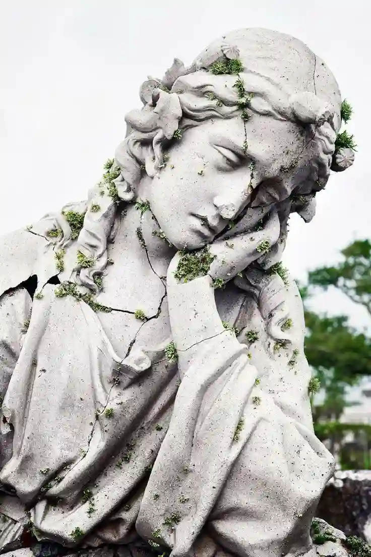 Grid Image